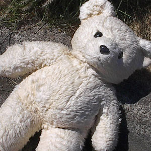 The Afternoon's album An Index of Maladjustments helped inspire the bear attack scene in The Revenant.